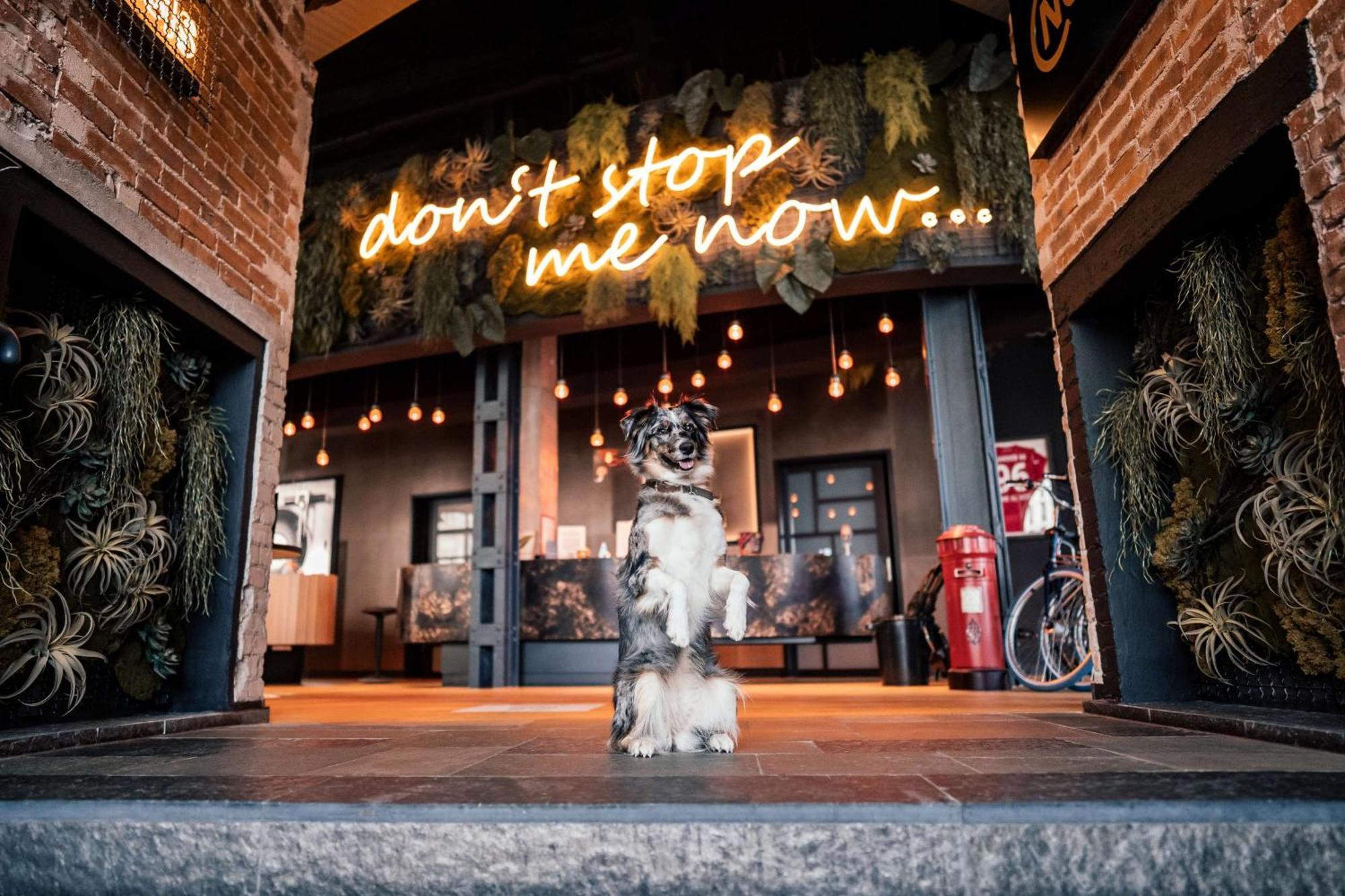 Me And All Hotel Hanover, By Hyatt エクステリア 写真